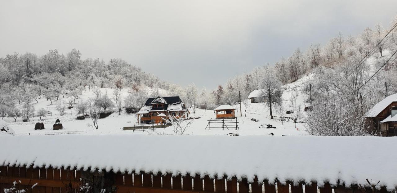 Pensiunea Ancuta Din Botiza Exterior foto
