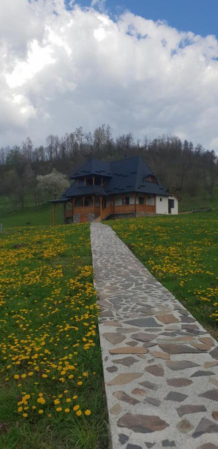 Pensiunea Ancuta Din Botiza Exterior foto