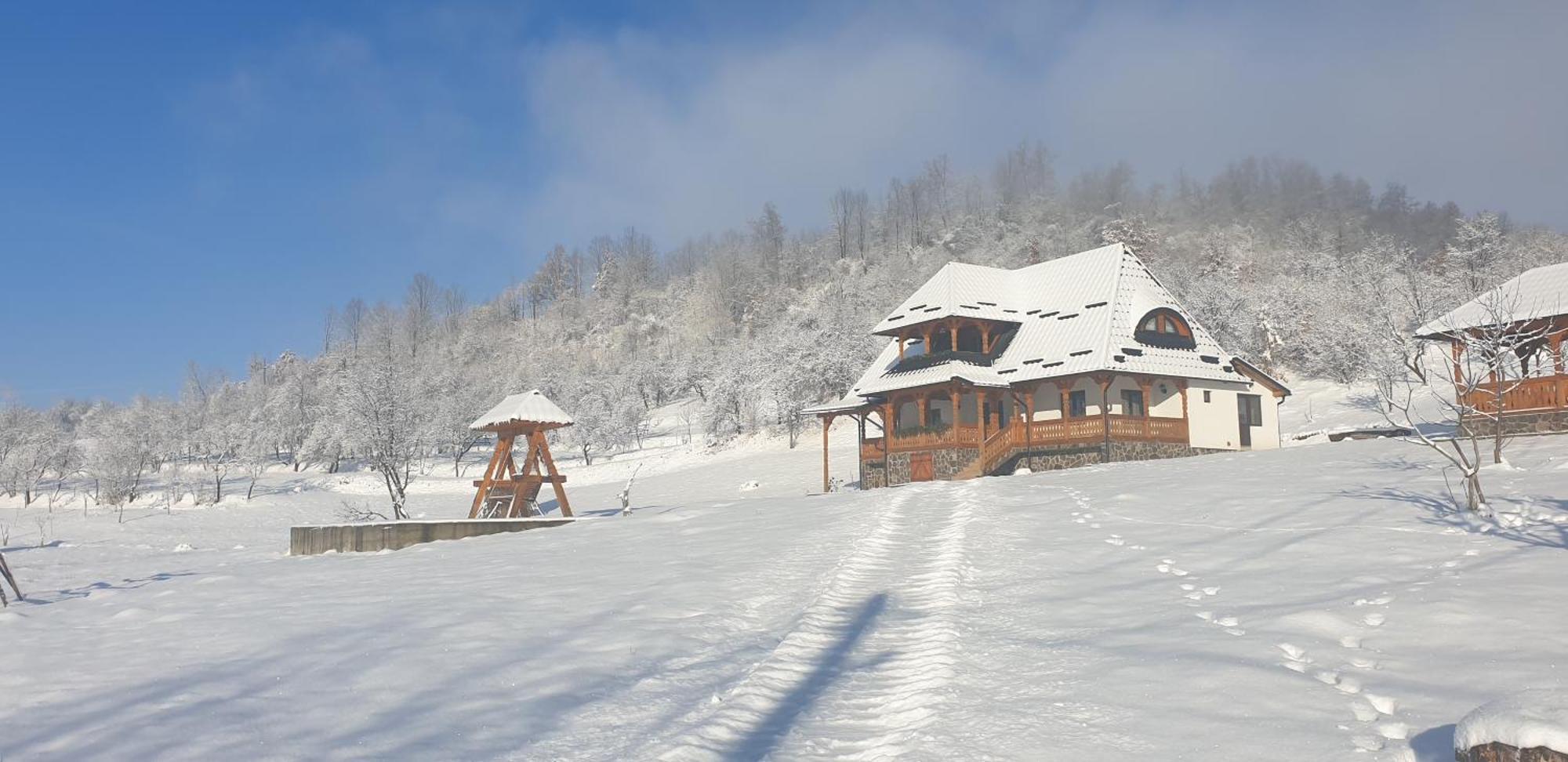Pensiunea Ancuta Din Botiza Exterior foto