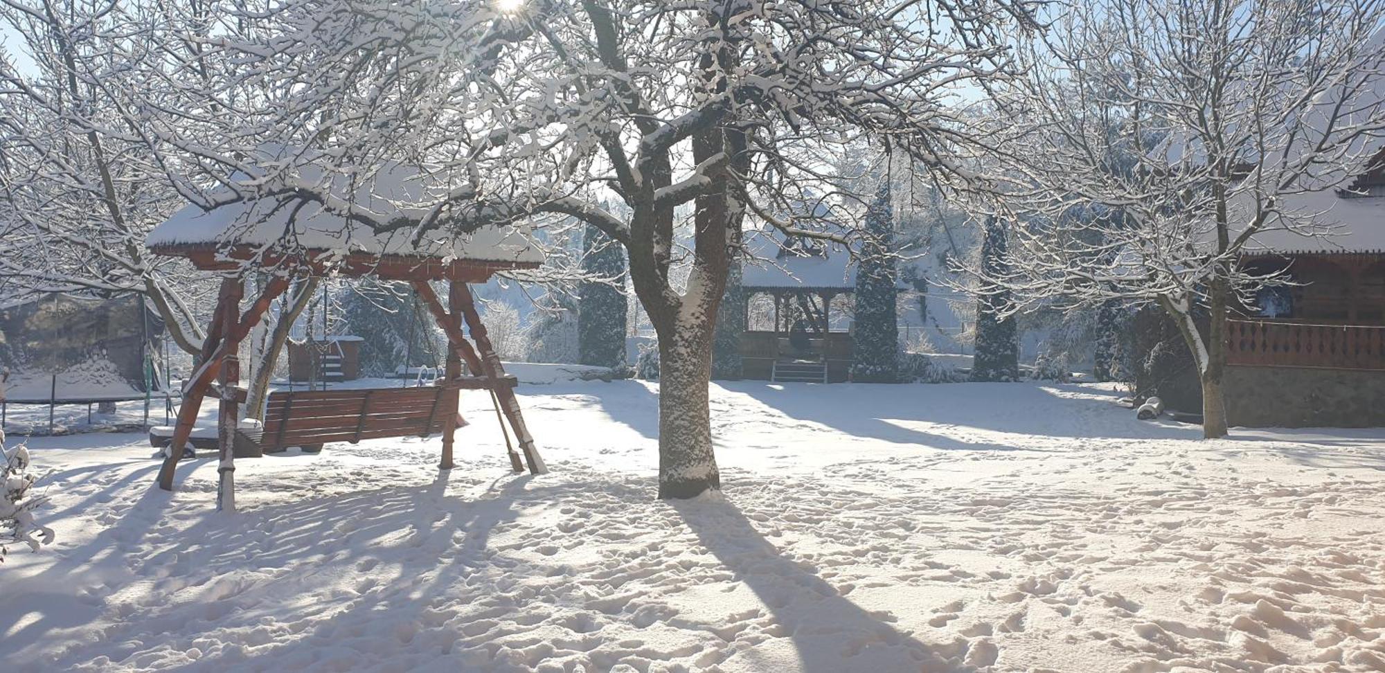 Pensiunea Ancuta Din Botiza Exterior foto