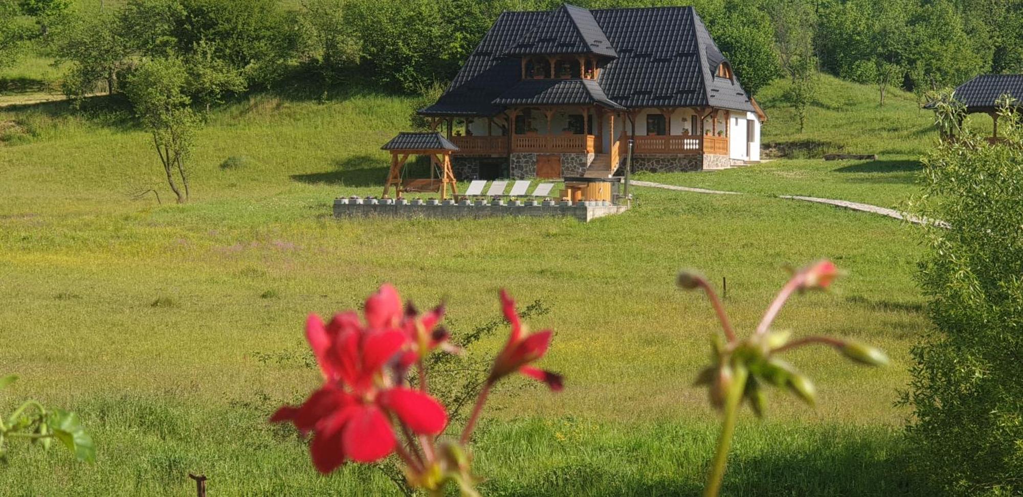 Pensiunea Ancuta Din Botiza Zimmer foto