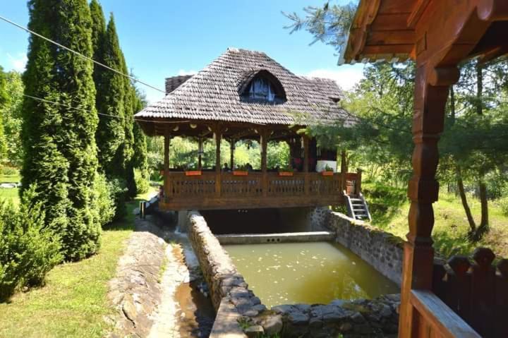 Pensiunea Ancuta Din Botiza Exterior foto